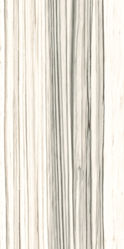 AE ZEB6 12 LP.jpg